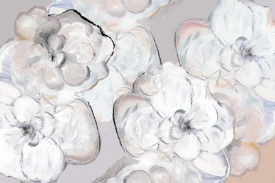 Weiche Weiße Blüten von cartissi