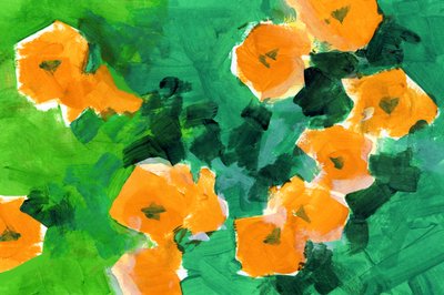 Lebendige orangefarbene Blüten von cartissi