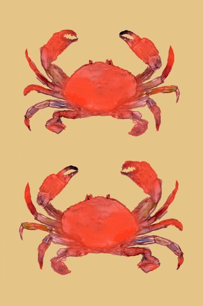 Lebendige Rote Krebse von cartissi