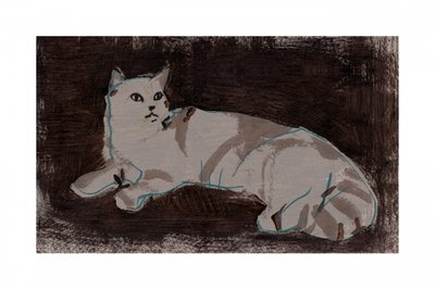 Weiße ruhende Katze von cartissi