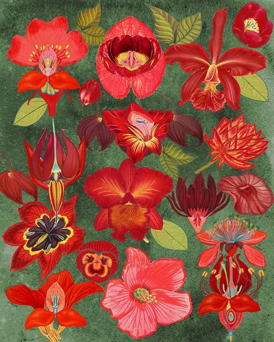 Botanischer roter Garten von giovanna nicolo