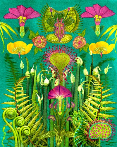 Fantasie Fleischfressender Garten von giovanna nicolo