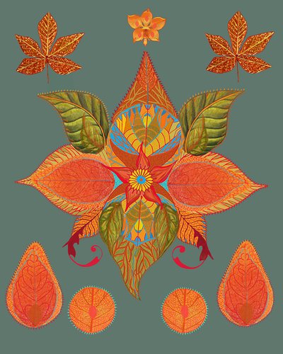 Lebendige Herbstbotanik von giovanna nicolo