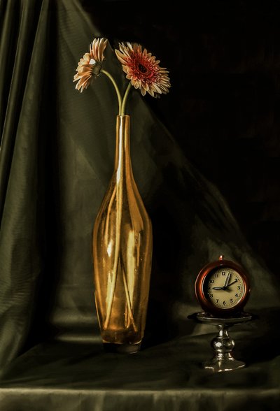  von jlloydphoto