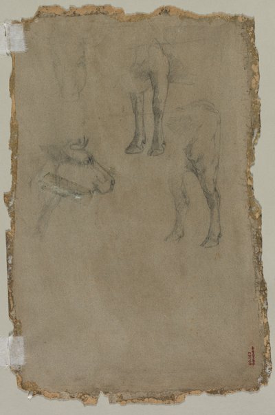 Studien eines Stiers (verso) von possibly by Johan Barthold Jongkind