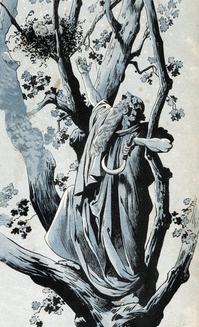 Ein gallischer Druide, der in einer Eiche klettert, um Mistelzweige mit seinem Serpe zu pflücken, entdeckt dort ein kleines Mädchen. In „Frankreich, seine Geschichte erzählt von G. Montorgueil, illustriert von Job“ 1896. Private Sammlung. von pseudonym for Onfray de Breville Jacques Job