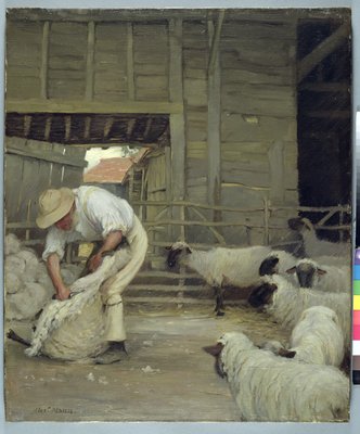 Schafe Scheren Von Alexander Mann Als Kunstdruck 569327