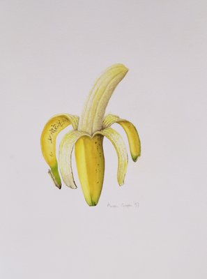 Eine Halb Geschalte Banane 1997 145293