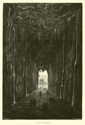 Schlucht von Tunkini von Edouard Riou