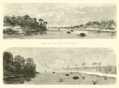 Abwechslungsreiche Ansichten in den Ebenen des Sacramento von Edouard Riou