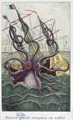 Stammbaum der Mollusken