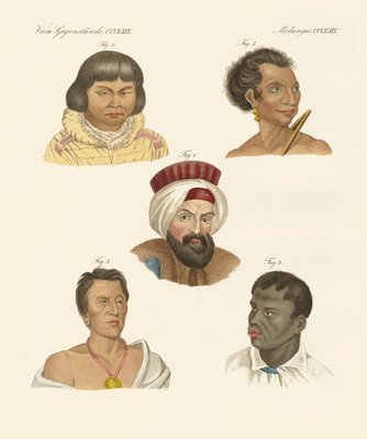Illustration der wichtigsten menschlichen Rassen