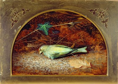 Ein totes Linnet von John Atkinson Grimshaw: Kunstdruck