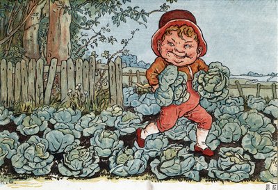 Ein Gnom stiehlt Kohl aus einem Gemüsegarten. (Ein Kob... (920019)