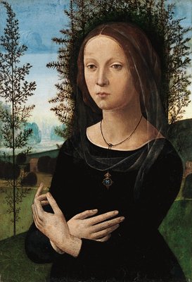 Portrait Einer Jungen Frau Von Leonardo Da Vinci 22279