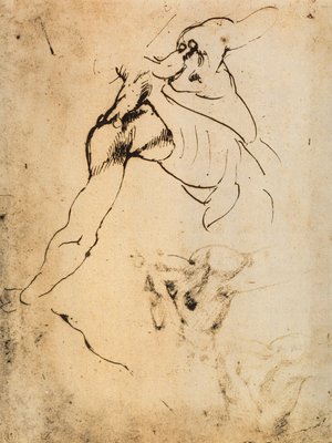 Mannliche Anatomische Studie Zeichnung Von Michelange 636823