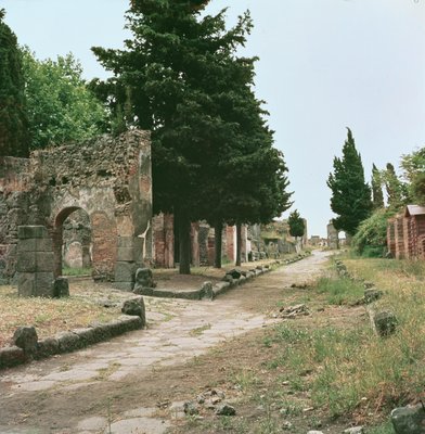 Der Graves Way und das Herculaneum Gate von Roman