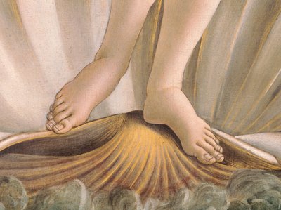 Die Geburt Der Venus Von Sandro Botticelli 828961