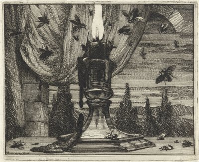 Fliegen werden vom Licht einer Kerze angezogen