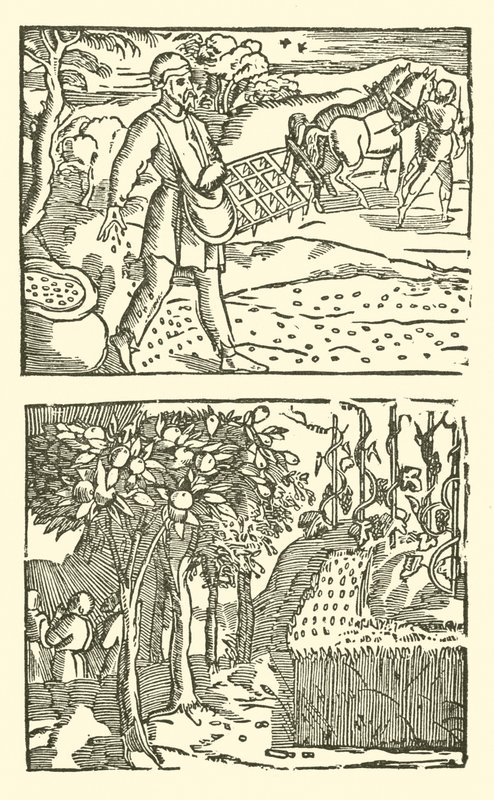 Illustration für The Roxburghe Ballads von (after) English School