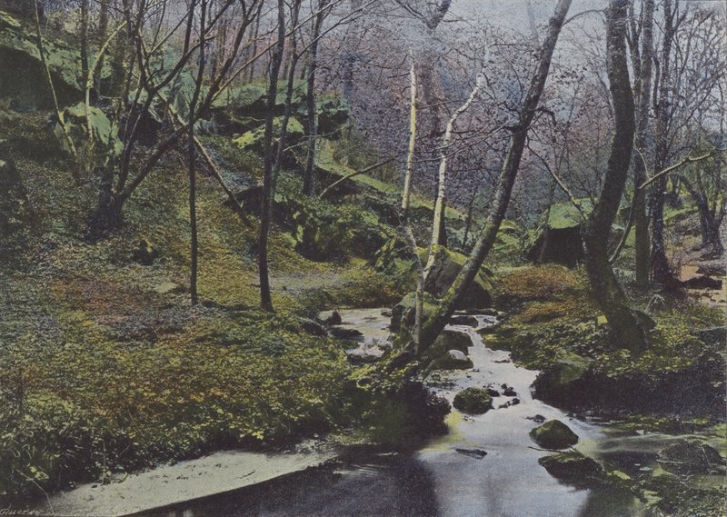 Vaux de Cernay, Les Cascades von (after) French Photographer