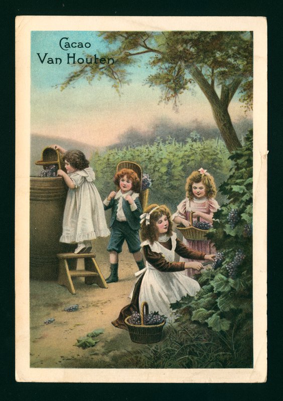 Kinder beim Traubenpflücken (Chromolithografie) von (after) French School