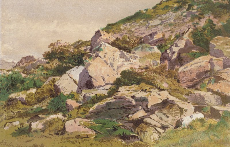 Studie von Steinen auf der Nordseite von Taliaris, nahe Llandeilo, Südwales von Aaron Edwin Penley