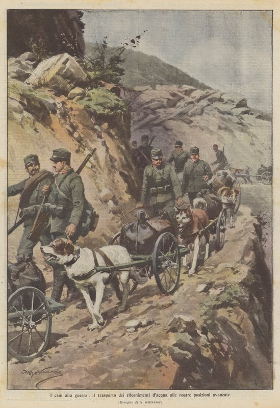 Die Hunde im Krieg, der Transport von Wasser zu unseren vorgeschobenen Stellungen von Achille Beltrame