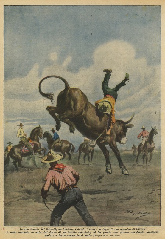 Auf einem Anwesen in Kanada versuchte ein Cowboy, eine Herde Rinder zu stoppen von Achille Beltrame