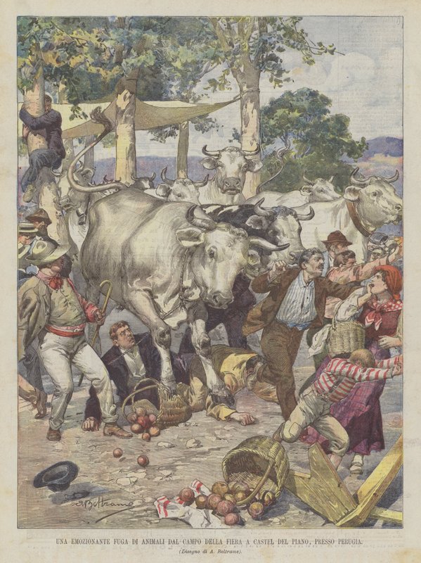 Eine aufregende Flucht von Tieren vom Messegelände in Castel del Piano bei Perugia von Achille Beltrame