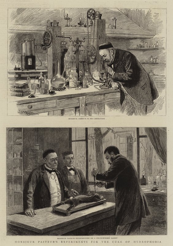 Monsieur Pasteurs Experimente zur Heilung der Tollwut von Adrien Emmanuel Marie