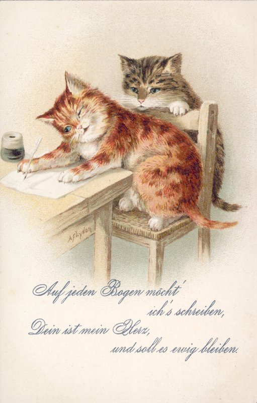 Humorvolle Katzenpostkarte von Alexander Francis (after) Lydon