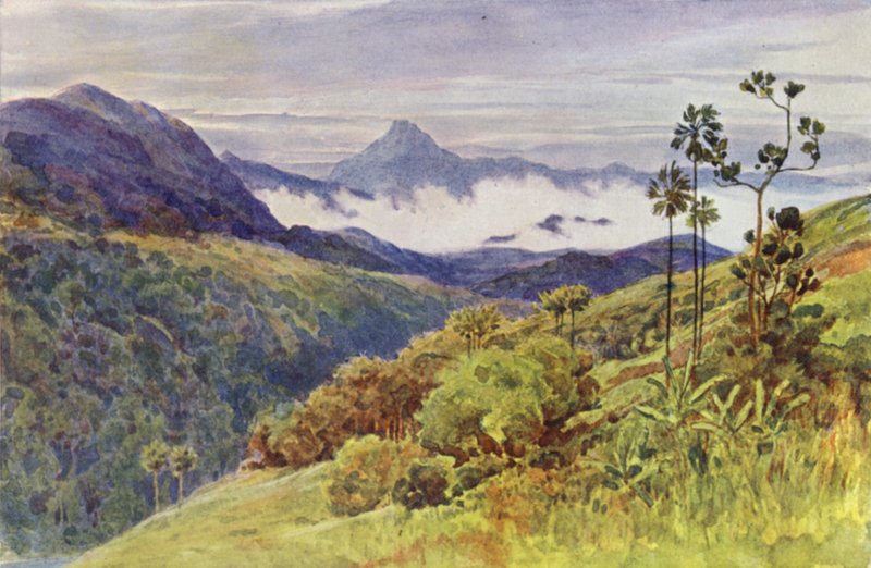 Morgennebel im Tal des Mahawelli Gangha (Farblithografie) von Alexander Henry Hallam Murray