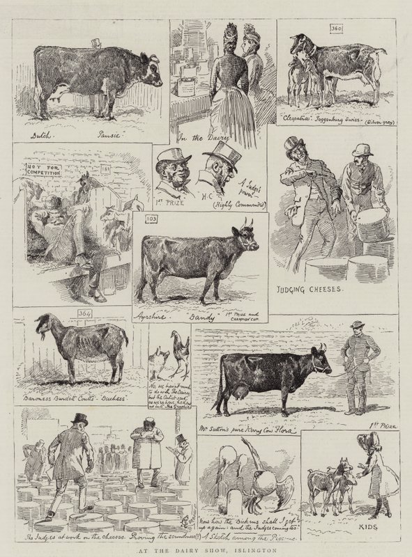 Auf der Milchviehschau, Islington von Alfred Chantrey Corbould