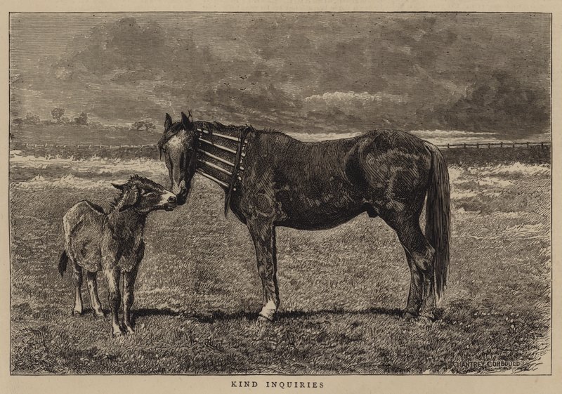 Freundliche Anfragen von Alfred Chantrey Corbould