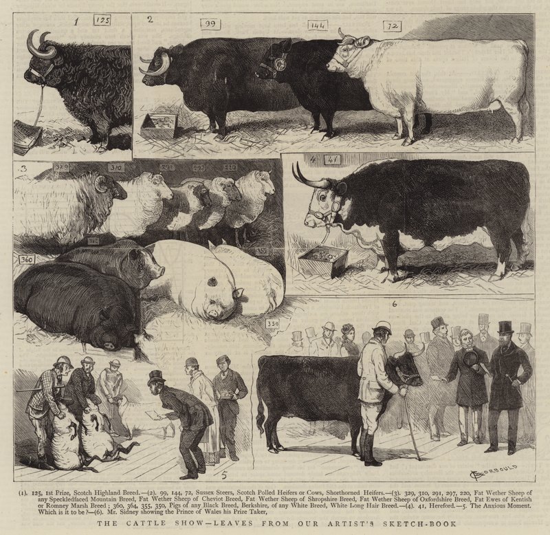 Die Viehschau, Blätter aus dem Skizzenbuch unseres Künstlers von Alfred Chantrey Corbould