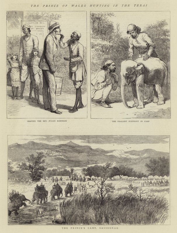 Der Prinz von Wales auf der Jagd im Terai von Alfred Chantrey Corbould