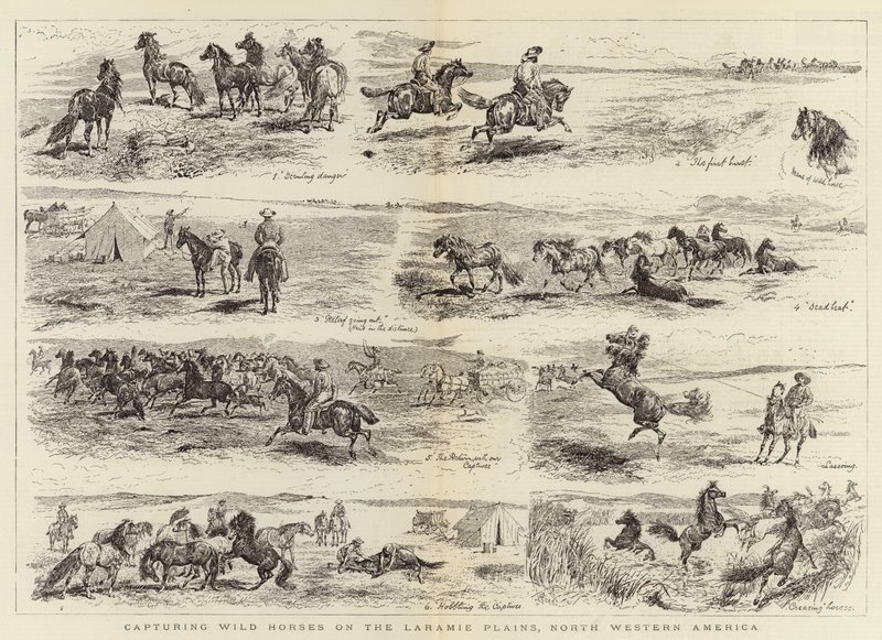 Einfangen von Wildpferden auf den Laramie-Ebenen, Nordwestamerika von Alfred Chantrey Corbould