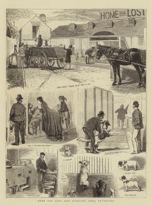 Heim für verlorene und hungernde Hunde, Battersea von Alfred Chantrey Corbould
