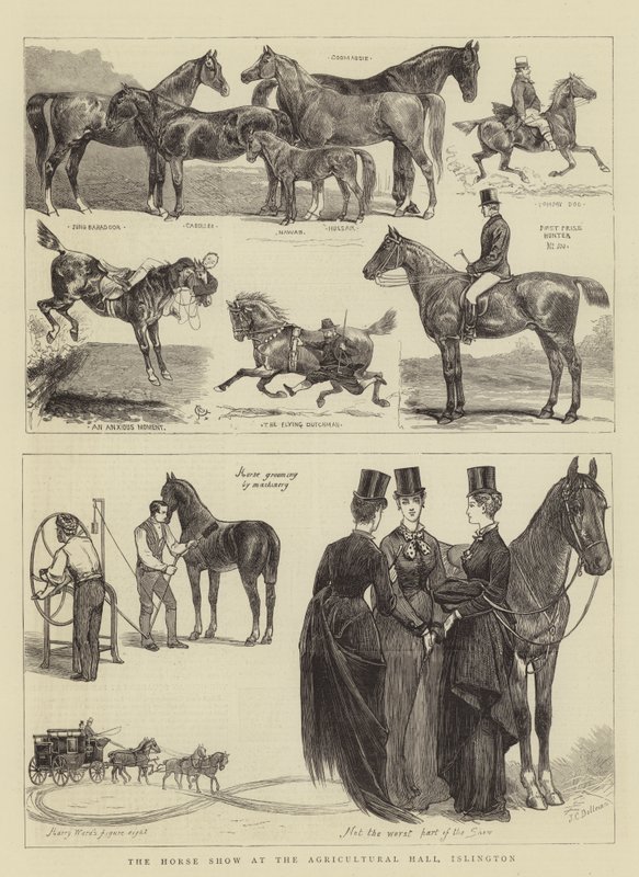 Die Pferdeschau in der Landwirtschaftshalle, Islington von Alfred Chantrey Corbould