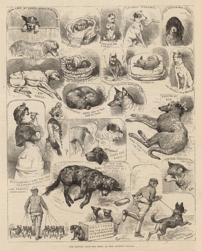 Die Hundeschau des Kennel Clubs im Crystal Palace von Alfred Chantrey Corbould