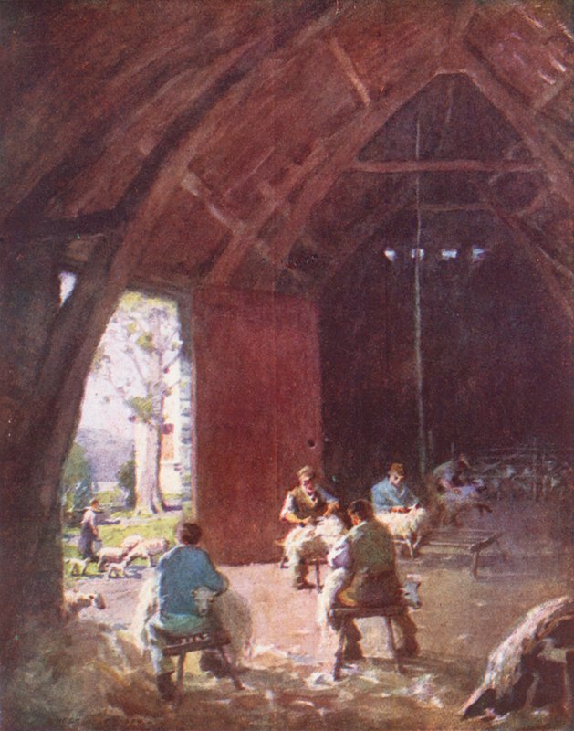 Lake District: Schafschur, Esthwaite Hall Farm von Alfred Heaton Cooper