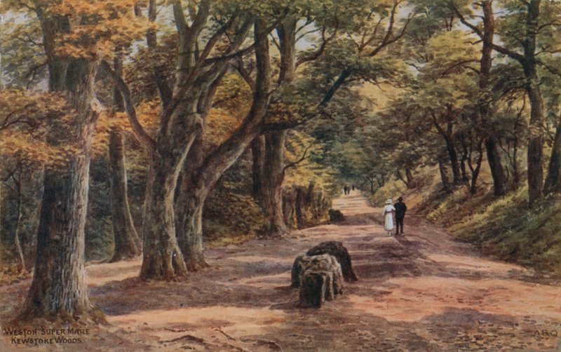 Weston-Super-Mare, Kewstoke Woods von Alfred Robert Quinton