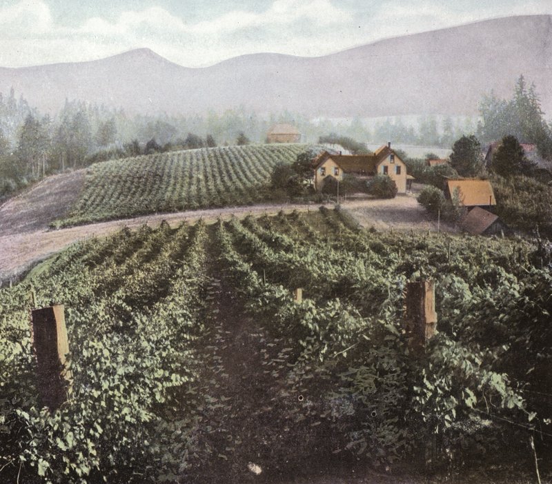 Oregon: Diversifizierte Landwirtschaft im Willamette-Tal von American Photographer (after)