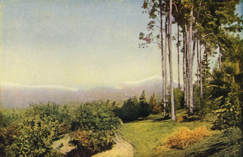 Eine Landschaft in Südkalifornien nahe Redlands von American Photographer