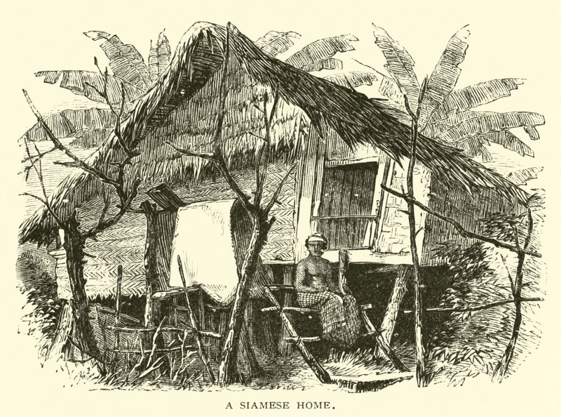 Ein siamesisches Zuhause von American School