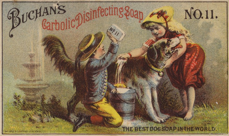 Kinder waschen Hund von American School