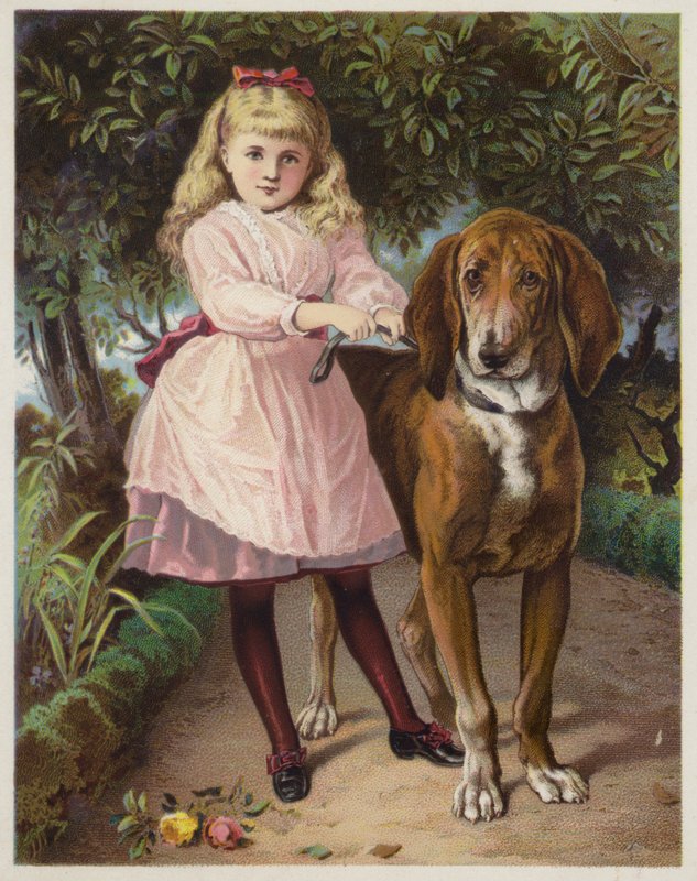 Mädchen hält Bloodhound an der Leine von American School