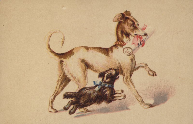 Großer und kleiner Hund rennen von American School