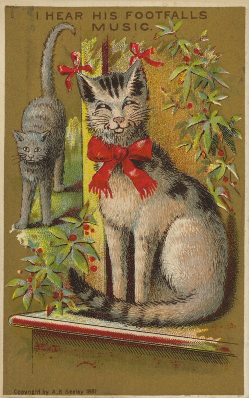 Stolze lächelnde Katze von American School